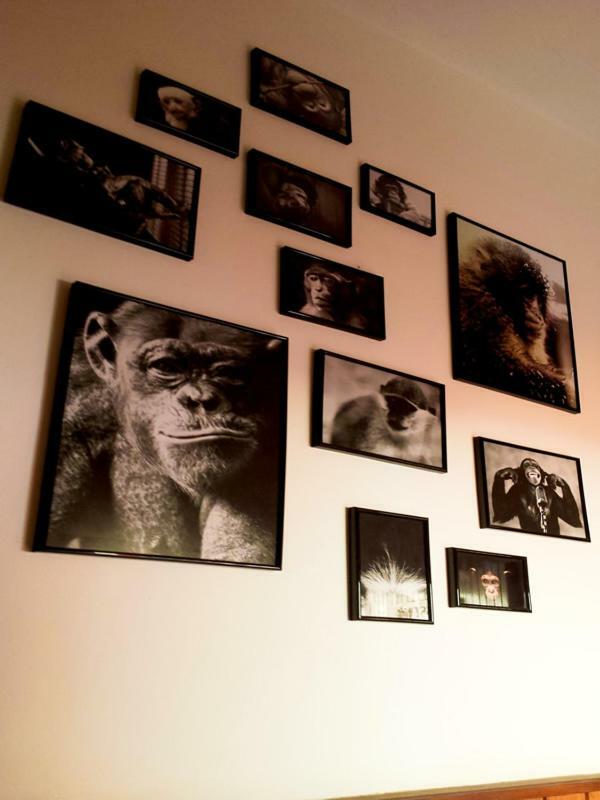 The Mellow Monkey Hostel Zadar Bagian luar foto